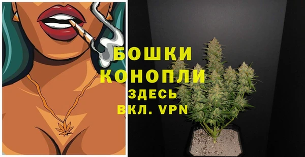 СК Волосово