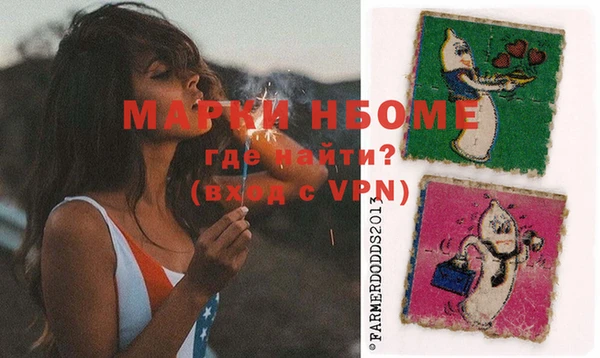 индика Верея