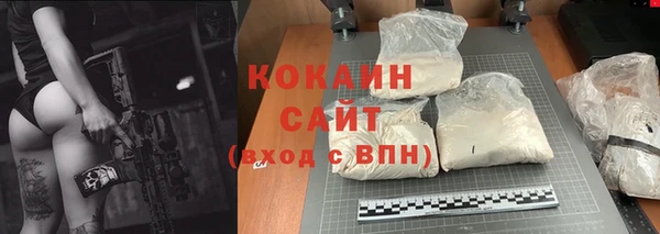 индика Верея