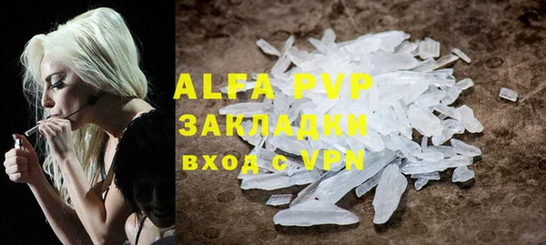 индика Верея