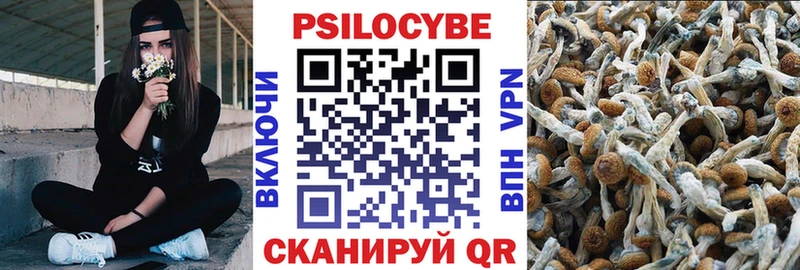 Псилоцибиновые грибы GOLDEN TEACHER  Кашин 